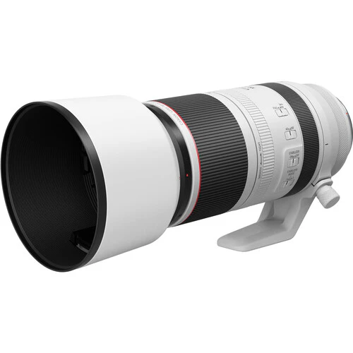 Canon RF 100-500mm F4.5-7.1 L IS USM Lens - Image 3