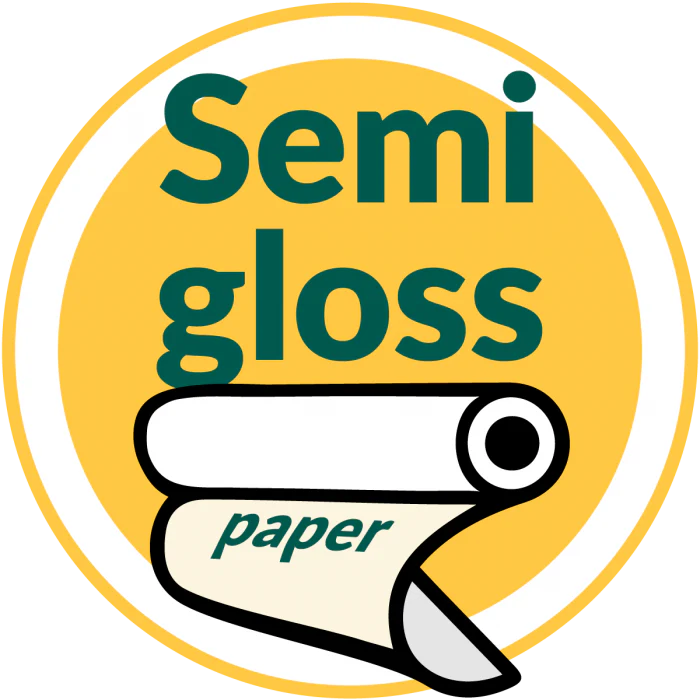 Epson Premium Semigloss Photo Paper Roll 210mm x 10m Roll (C13S041336)