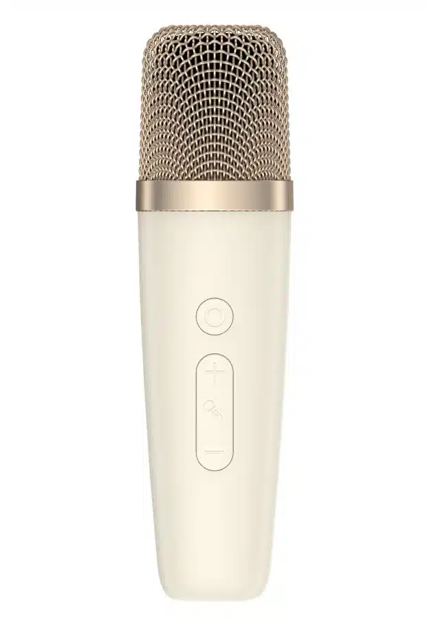 Havit SK823BT Retro Portable Karaoke Bluetooth Speaker – Heavy Duty Professional Wireless PA Speaker with Microphone Support, High Power Audio, and Rechargeable Battery for Parties, Karaoke, and Outdoor Entertainment Use - Image 4