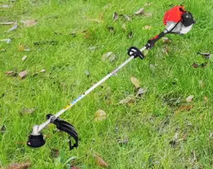 Pineyoung PY-6900 Gasoline Grass Trimmer – 1250W 255mm Heavy-Duty Brush Cutter for Lawn Care - Image 2