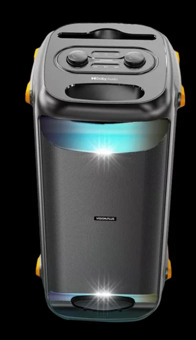 Vision Plus BEATPRO VPBP1 Bluetooth Speaker – 300W Max Power, Wireless Microphone, USB & TWS Connectivity - Image 2