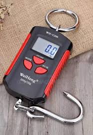 Weiheng WH-C200 200kg Electronic Hook Scale – Heavy Duty Digital Hanging Scale for Industrial Weighing Warehouse Farming and DIY Use - Image 2