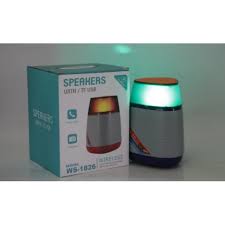 WSTER WS-1826 Bluetooth Wireless Speaker - Support Micro SD Card, AUX & FM Radio - Image 2